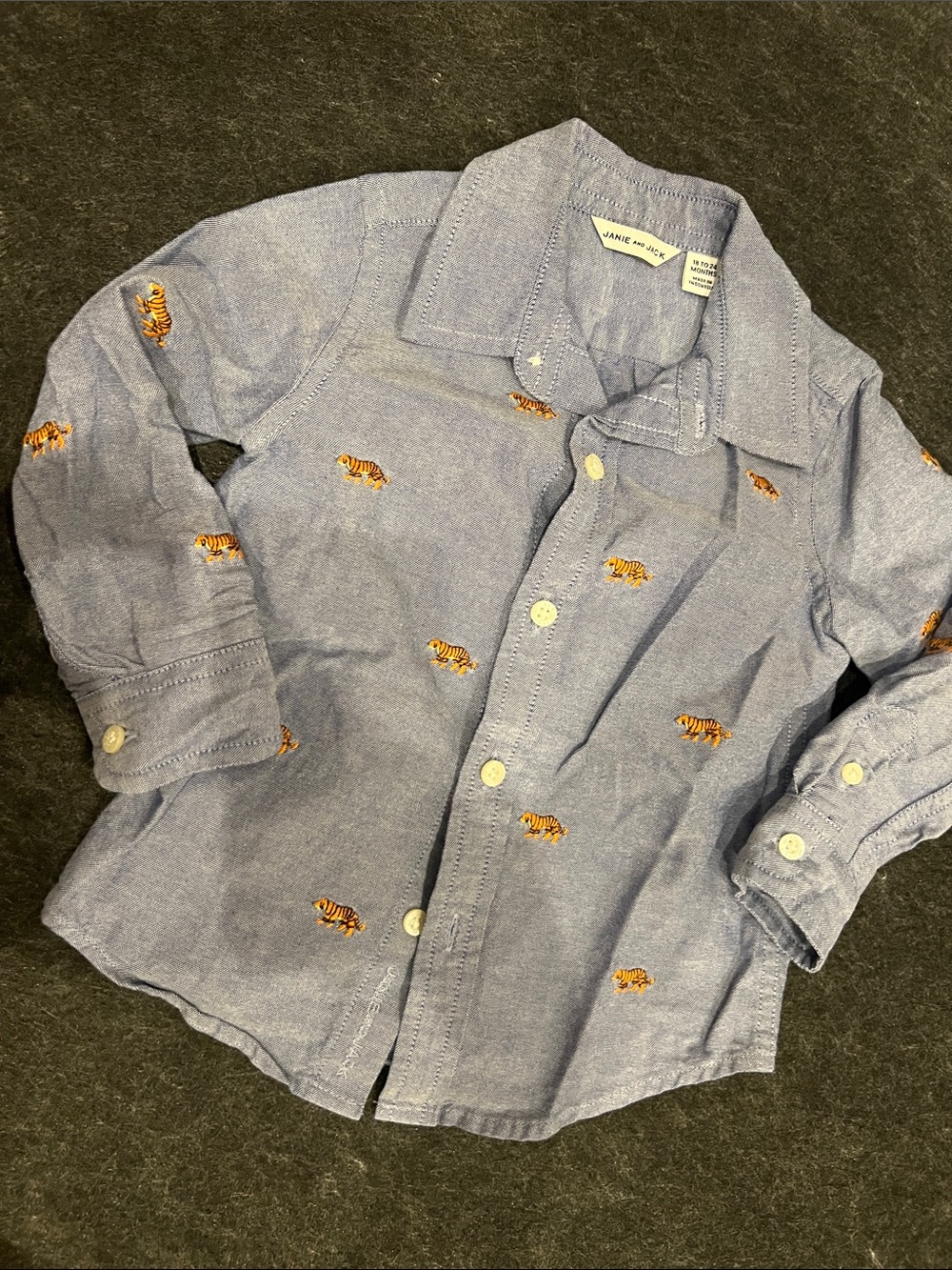 Janie and Jack Light Blue Tiger Embroidered Button-Down Shirt
